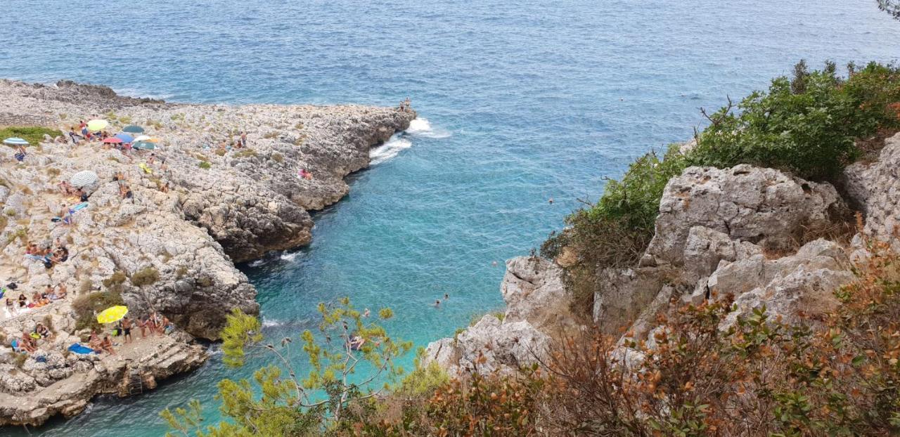 Villa Al Grep Marittima Esterno foto